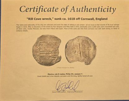 Rill Cove Wreck 8 Reale Cob