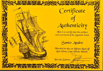 Santo Andre Shipwreck 1851 20 Reale